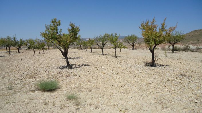 Image No.3-Land for sale