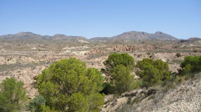 d69b8f399ad53e69b8f399ad588