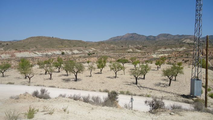 Image No.6-Land for sale