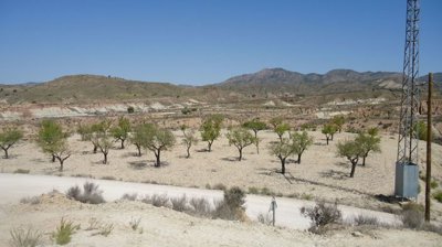 d69b8f399b19c369b8f399b1a09