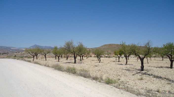 Image No.7-Land for sale