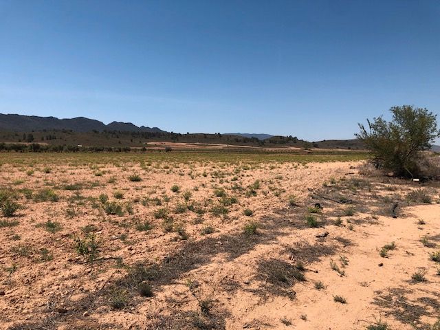 Image No.2-Land for sale