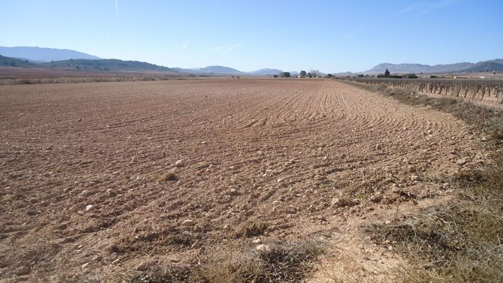 Image No.2-Land for sale