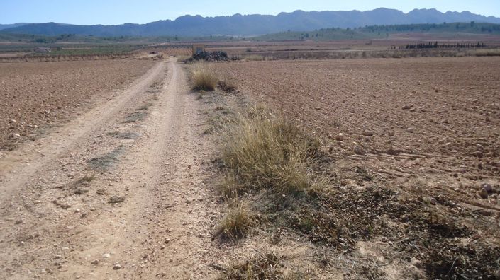 Image No.3-Land for sale