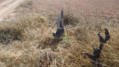 d69b8f2fe581db69b8f2fe58229