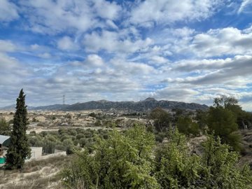 d69b8f29be997a69b8f29be99c0