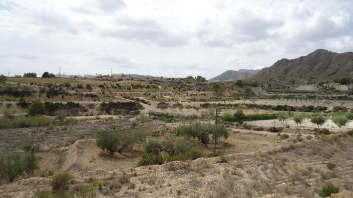 Image No.10-Land for sale