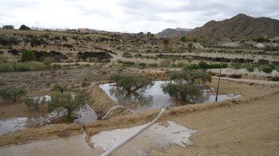 d69b8f2366113d69b8f23661182