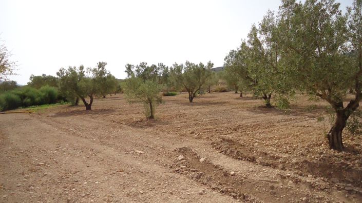 Image No.18-Land for sale