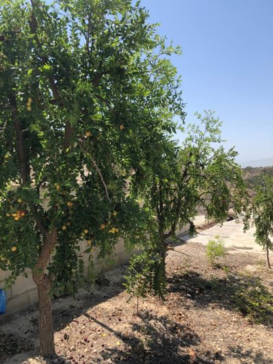 Image No.31-2 Bed House for sale