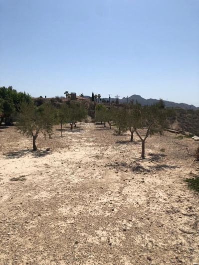 Image No.32-2 Bed House for sale