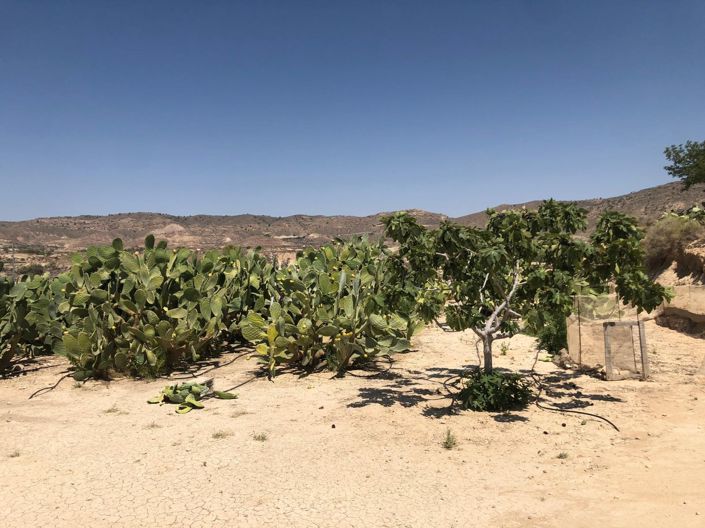 Image No.33-2 Bed House for sale