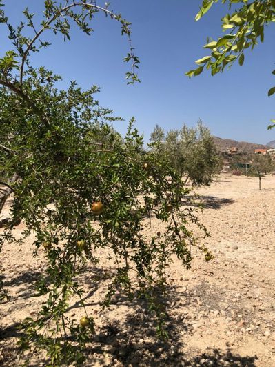 Image No.35-2 Bed House for sale