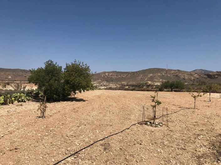 Image No.38-2 Bed House for sale