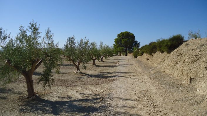 Image No.10-Land for sale