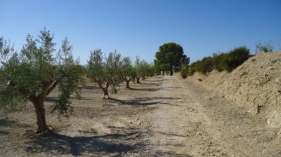 d69b8f1b2cc60b69b8f1b2cc652