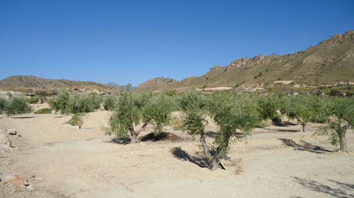 Image No.14-Land for sale