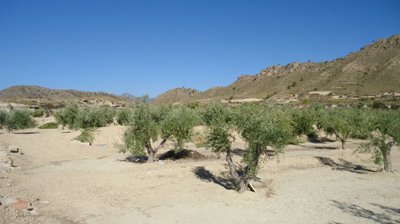 d69b8f1b2c856069b8f1b2c85a6