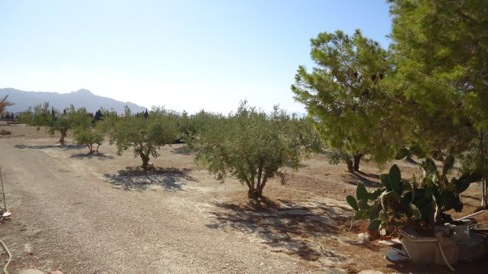 Image No.15-Land for sale