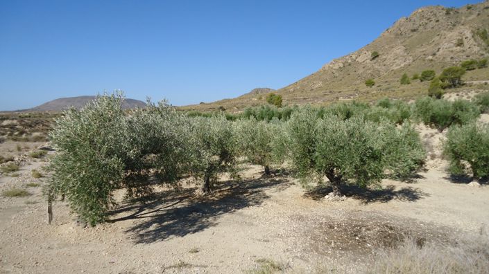 Image No.18-Land for sale