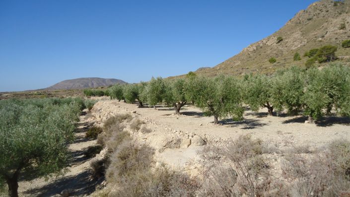 Image No.2-Land for sale