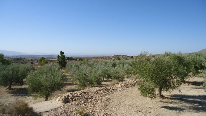 Image No.3-Land for sale