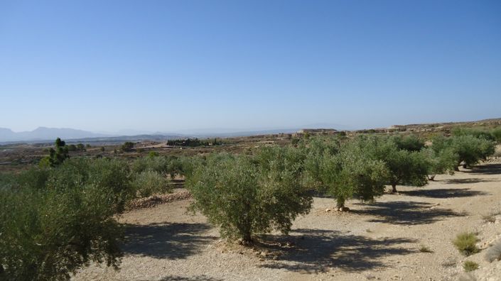 Image No.4-Land for sale