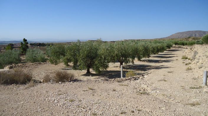 Image No.5-Land for sale