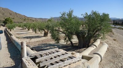 d69b8f1b2d163669b8f1b2d167b