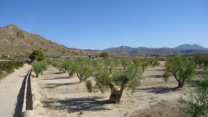 Image No.7-Land for sale