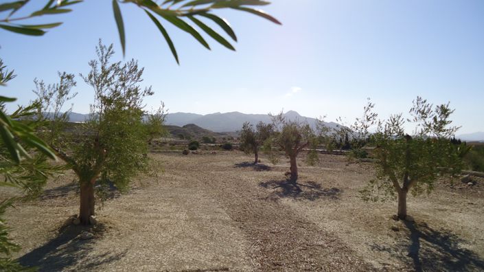 Image No.8-Land for sale