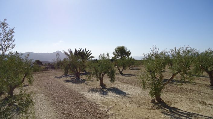 Image No.9-Land for sale