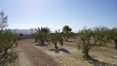 d69b8f1b2cd54f69b8f1b2cd594