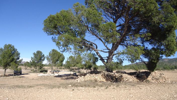 Image No.12-Land for sale
