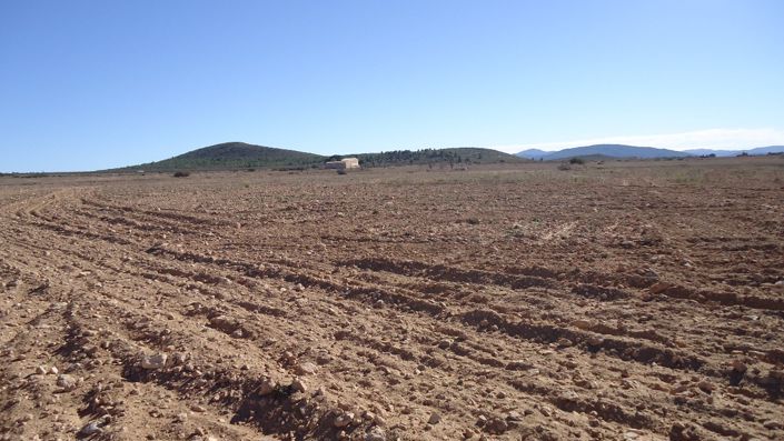 Image No.14-Land for sale