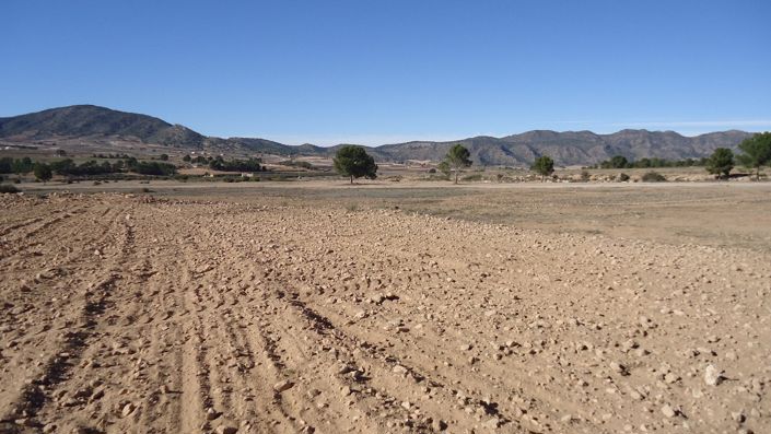 Image No.16-Land for sale