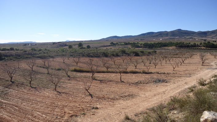 Image No.17-Land for sale