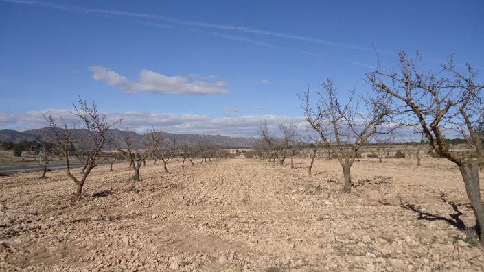 Image No.18-Land for sale