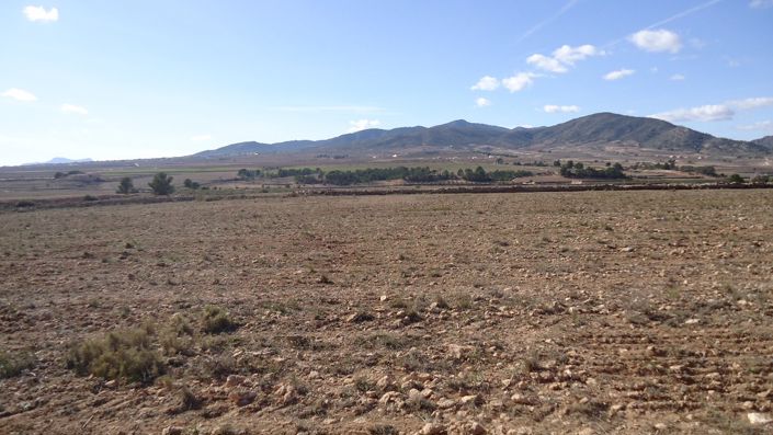 Image No.31-Land for sale