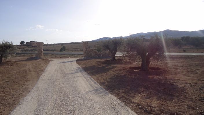 Image No.38-Land for sale