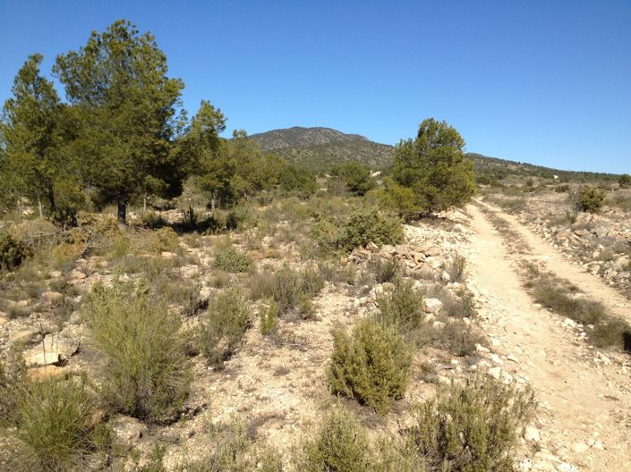 Image No.43-Land for sale