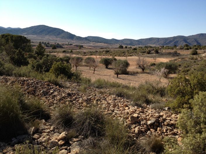 Image No.44-Land for sale