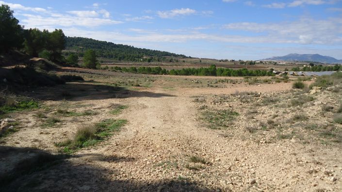 Image No.3-Land for sale