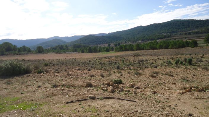 Image No.5-Land for sale