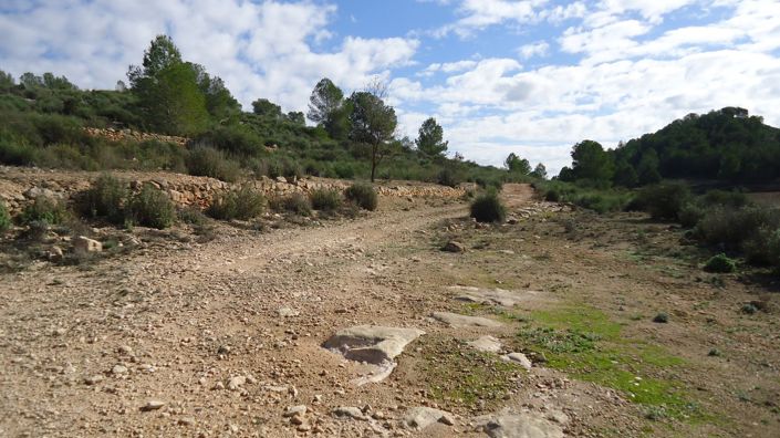Image No.6-Land for sale