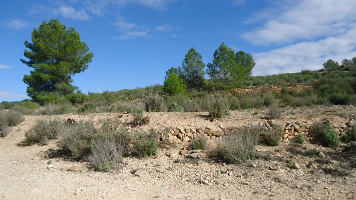 Image No.7-Land for sale
