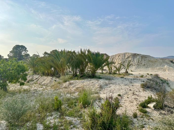 Image No.25-5 Bed Country House for sale