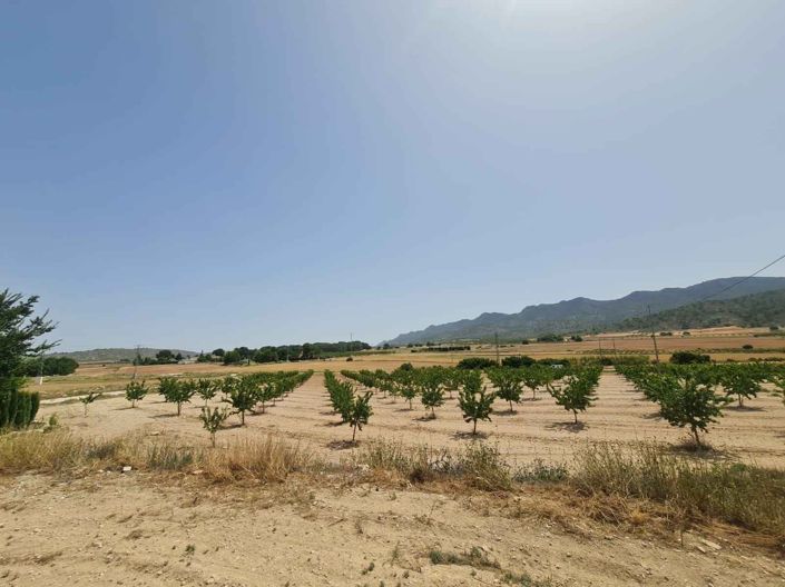 Image No.3-Land for sale