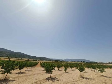 d69b8f06ca036969b8f06ca03af