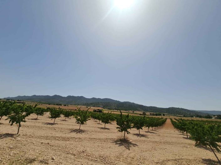 Image No.6-Land for sale